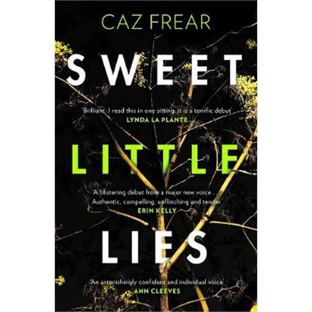 Sweet Little Lies (Paperback) - Caz Frear